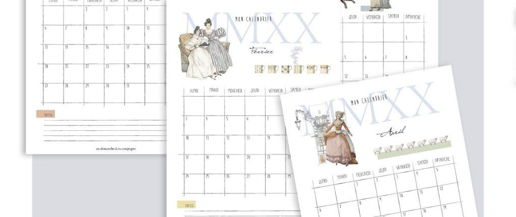 Illustration & mise en page